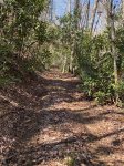 Hiking trail on property